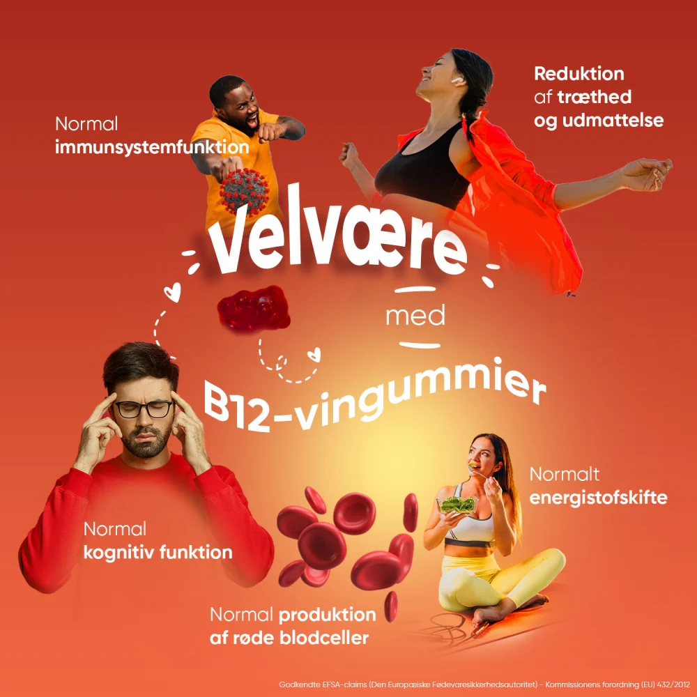 Miniaturebillede 3