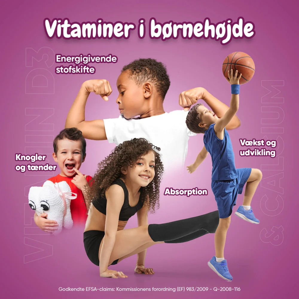 Miniaturebillede 4