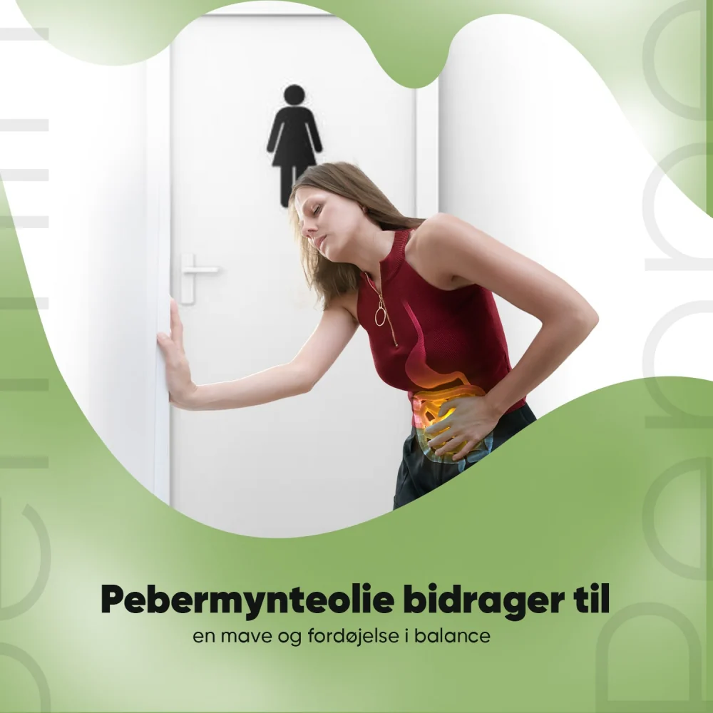 Miniaturebillede 4